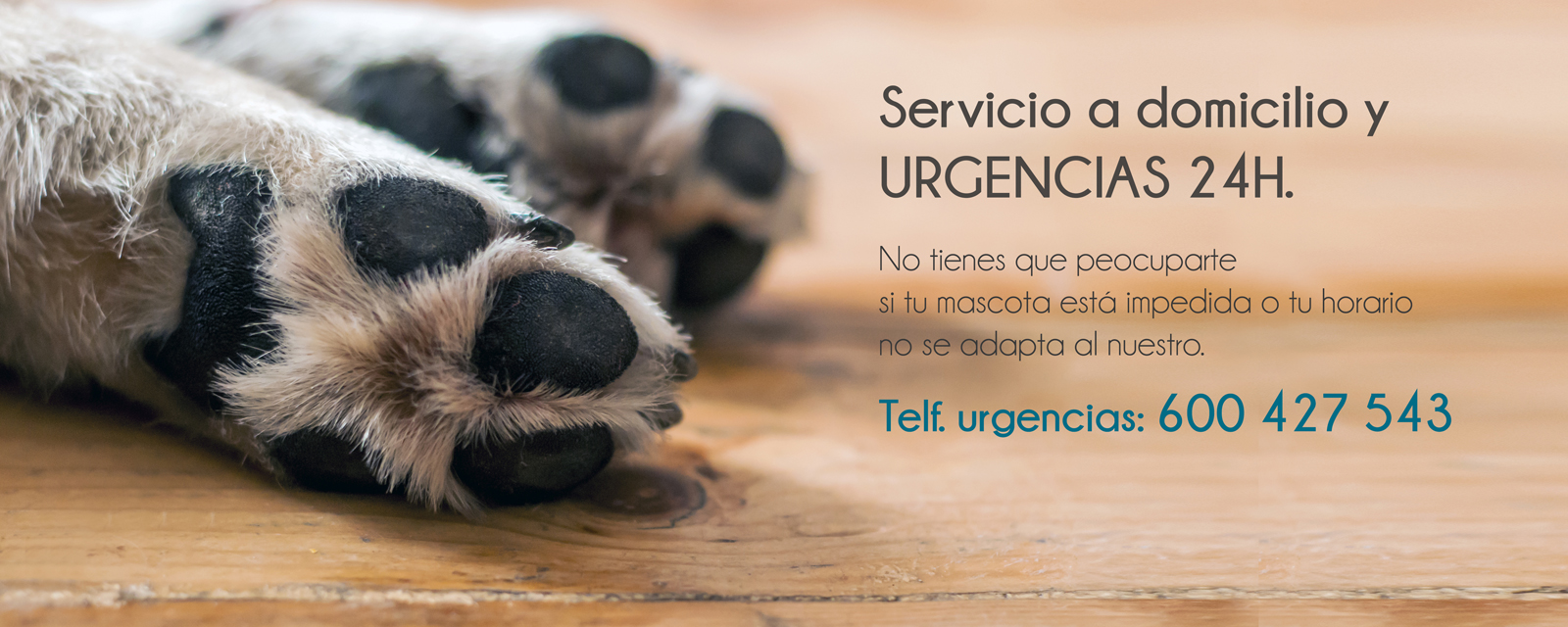 Servicio veterinario urgencias Yecla